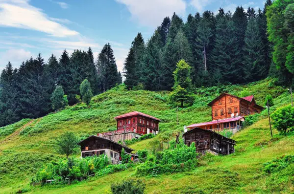 Karadeniz'in yemyeşil dağ yamacında, yüksek çam ağaçlarıyla çevrili, geleneksel ahşap evlerin oluşturduğu huzur veren manzara, doğaseverler için keşfedilmeyi bekleyen eşsiz bir dingin destinasyonu gözler önüne seriyor.