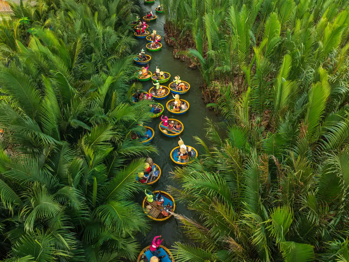 Vietnam, Bay Mau'da sepet tekne turları, nipa palmiyesi ormanı.