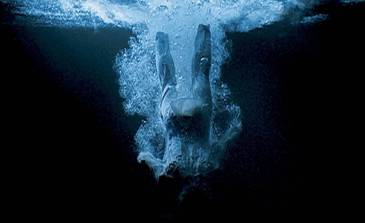 Bill Viola / Michelangelo Sergisi: Beş Yüz Yıl Ara İle Duygusal Güç