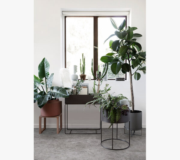 2019 Dekorasyon Trendleri