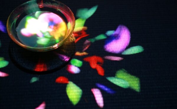 Dünyanın İlk Dijital Sanat Müzesi: teamLab Borderless