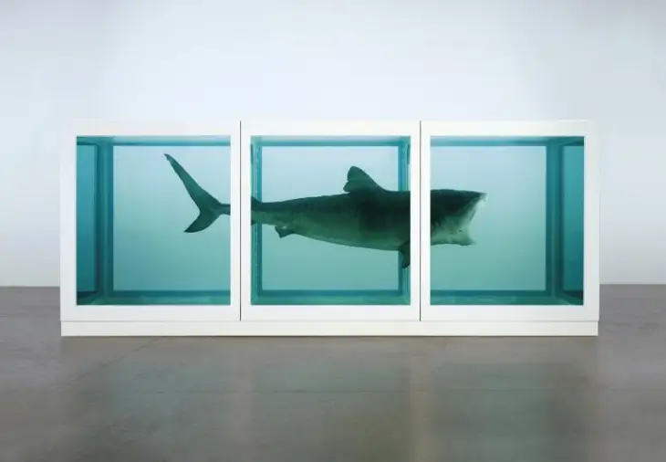 Damien Hirst’ün en ikonik eseri: Formaldehit içinde sergilenen köpekbalığı – “The Physical Impossibility of Death in the Mind of Someone Living” çalışması.