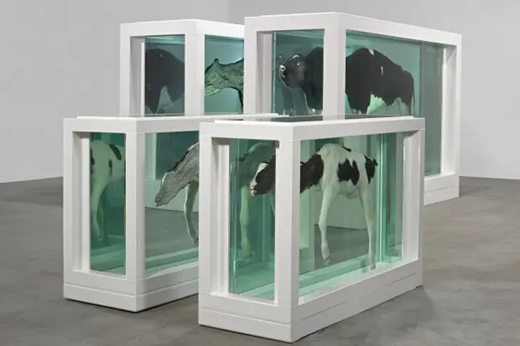 Damien Hirst’ün formaldehit dolu tanklarda sergilediği hayvanlar – ölüm, etik ve sanat arasındaki sınırları zorlayan çarpıcı bir enstalasyon.