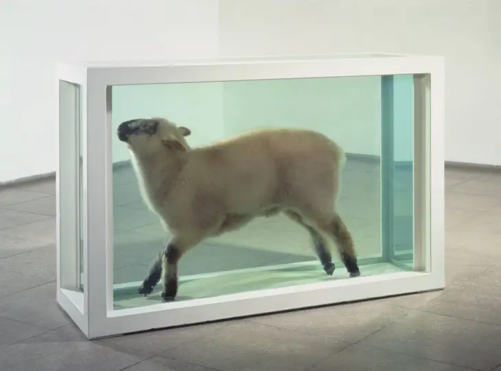 Damien Hirst’ün formaldehit içinde sergilediği kuzu enstalasyonu – yaşam ve ölüm arasındaki sınırları sorgulayan çarpıcı bir çağdaş sanat eseri.