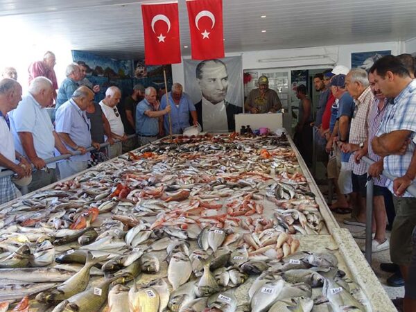 alaçatı rehberi
