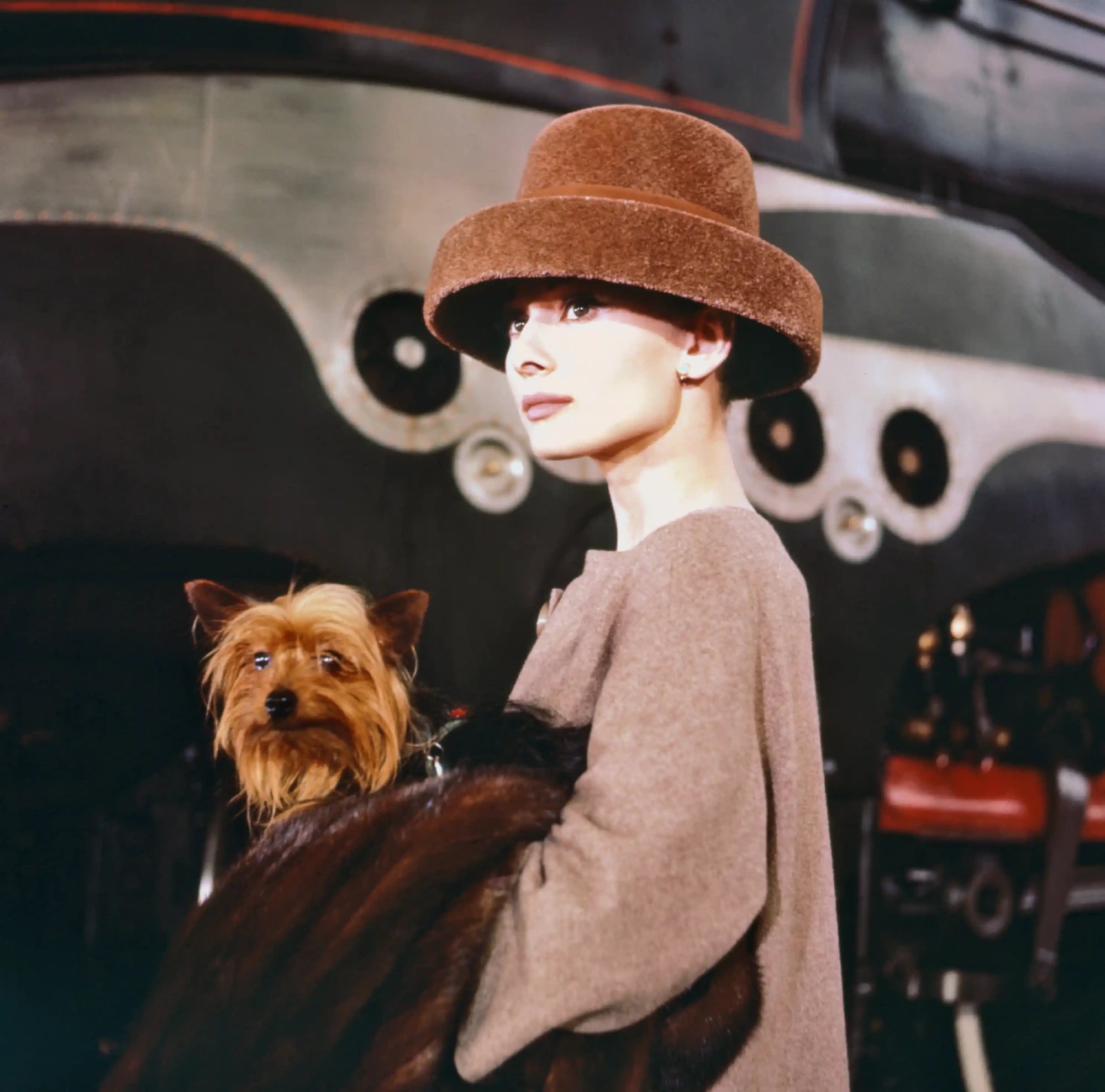 Audrey Hepburn, Funny Face filmindeki unutulmaz anlarından birinde, kafasında kahverengi geniş kenarlı şık bir şapka, kucağında küçük tüylü köpeği ve üzerinde koyu renk kürk şalıyla zarif duruşuyla hafifçe sağa bakıyor.