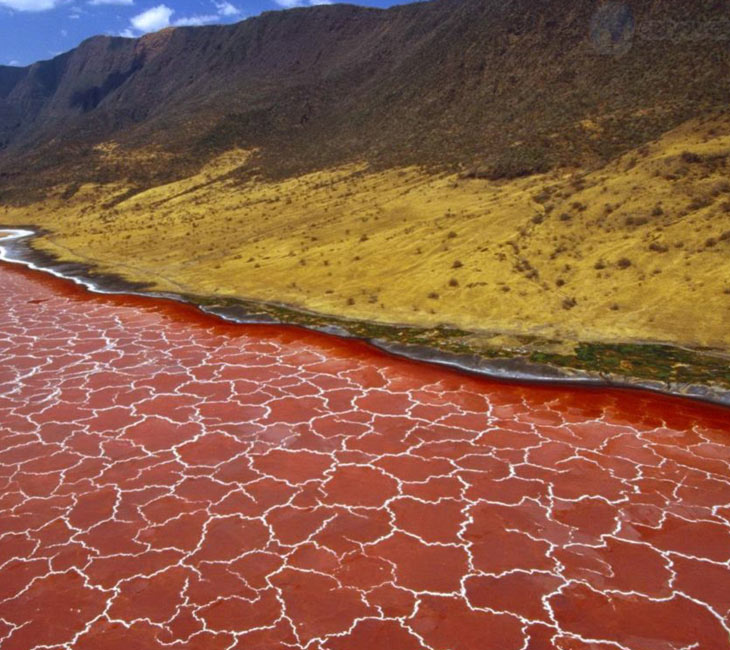 4-lake-natron