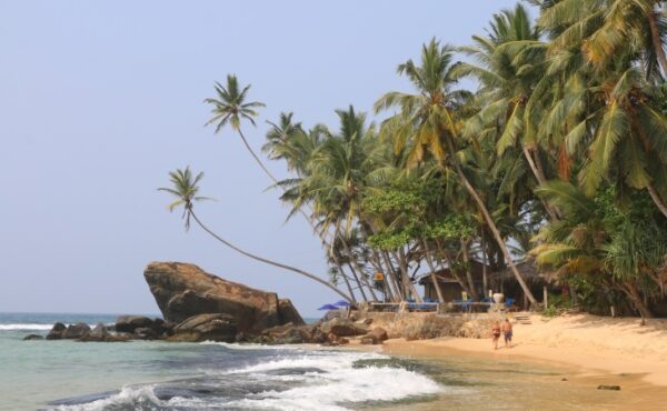 Sri Lanka Şehir Rehberi