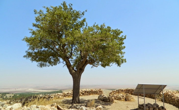 Göbeklitepe'ye Mistik Yolculuk