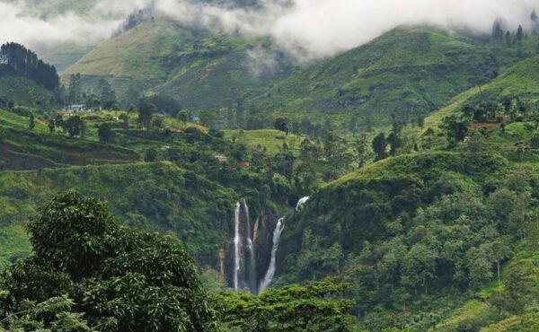Sri Lanka Şehir Rehberi