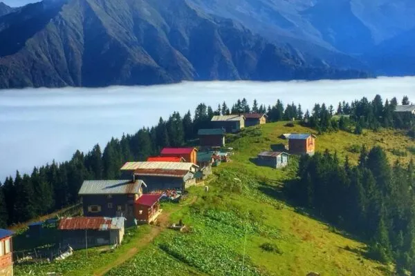 Çayeli'nin doğal güzelliklerinden biri olan bir yayla yerleşimini gözler önüne seren bu geniş açılı görselde, yemyeşil çimlerle kaplı engebeli yamaçlarda sıralanmış, farklı renklerdeki çatılara sahip ahşap evler, adeta bir bulut denizi gibi yayılan sisi ve arkasındaki heybetli dağları gözler önüne seriyor.