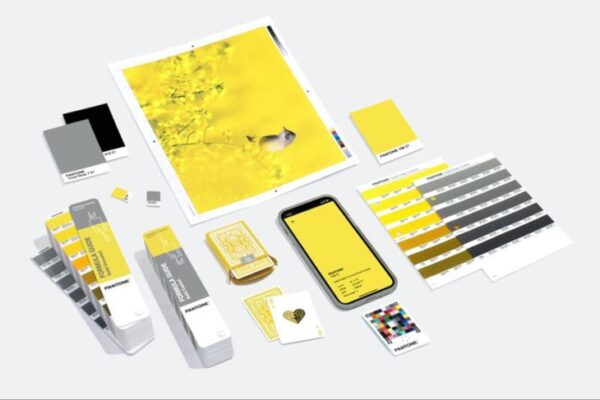 2021 Pantone Yılın Rengi Açıklandı