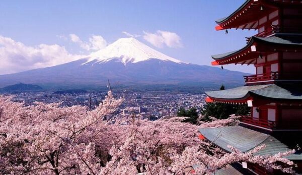 Japonya'yı Evinizden Keşfedin