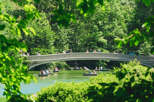 Evinizden New York’u Yaşamanın Yolları