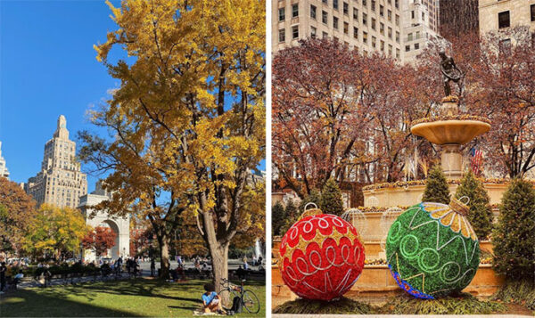 Evinizden New York’u Yaşamanın Yolları