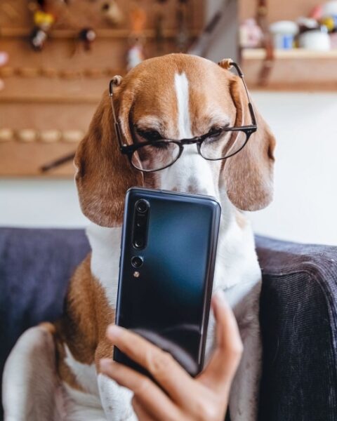 Akıllı Telefonlara Ekran Altı Kamera Teknolojisi