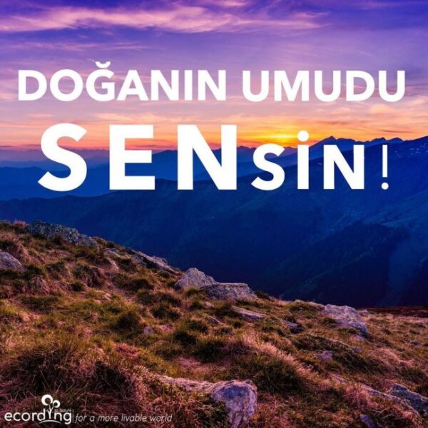Çevre Bilinci ve Sürdürülebilirlik İçin Instagram Hesabı Önerileri
