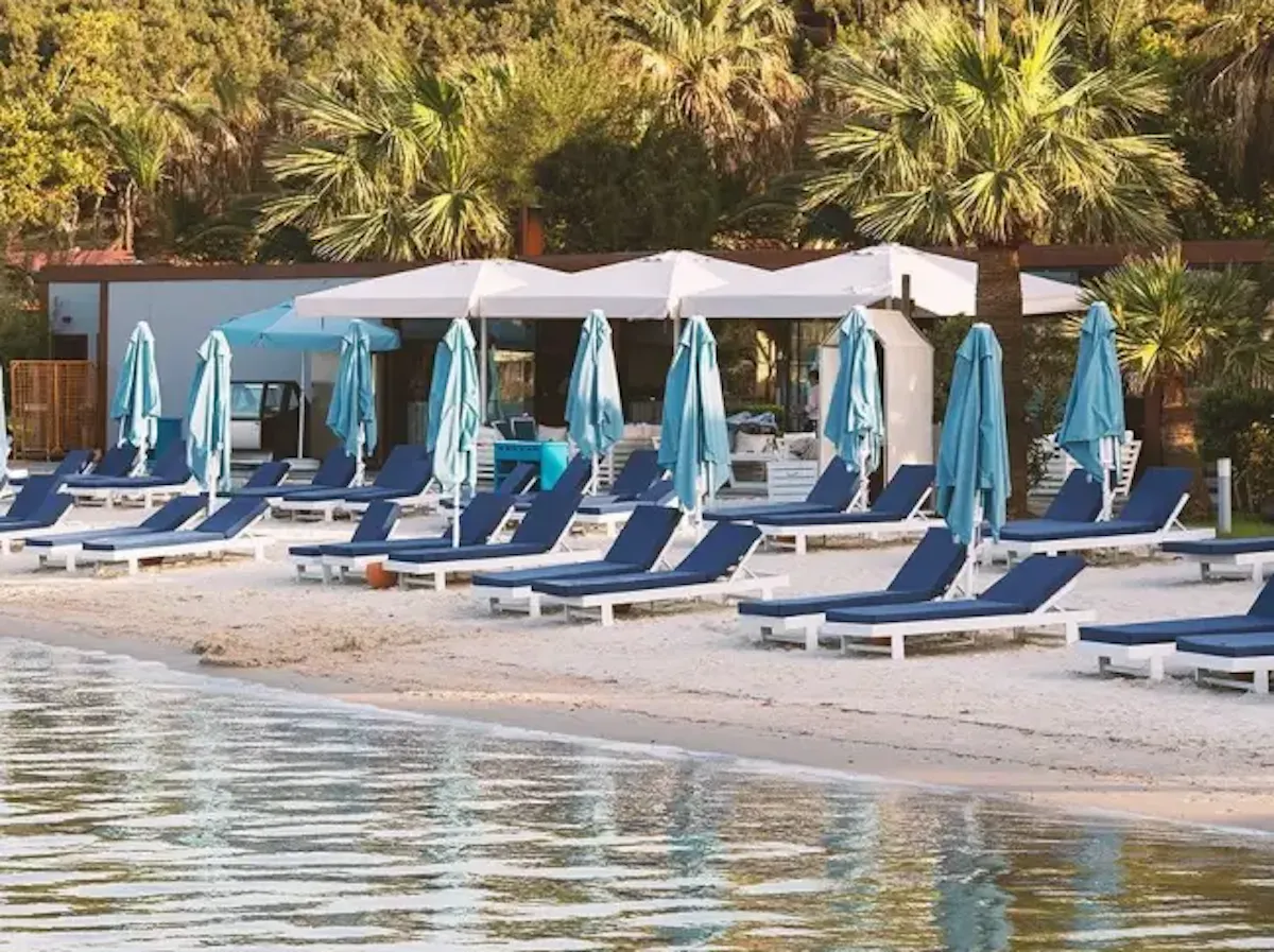 Ayvalık D-Resort plajında, sakin denizin kenarında sıralanmış koyu mavi minderli beyaz şezlongların her birinin yanında katlanmış açık mavi plaj şemsiyeleri dururken, arka planda yemyeşil palmiye ağaçları ve tesis binaları görünüyor.