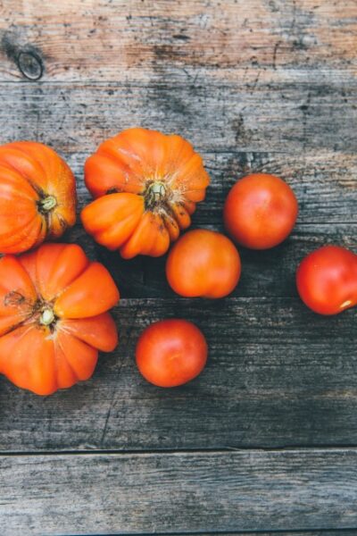 Sürdürülebilir Gastronomi: Atıksal Çerçevede Geri Dönüşüm