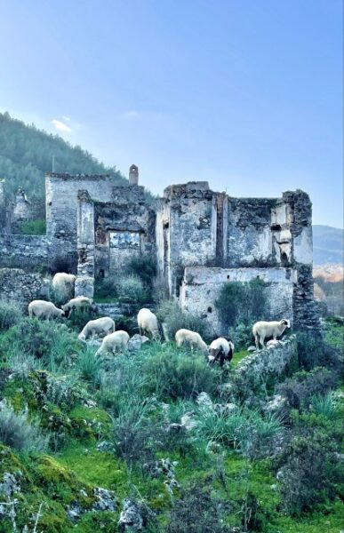 Mavi’nin 50 Tonu: Fethiye Rehberi