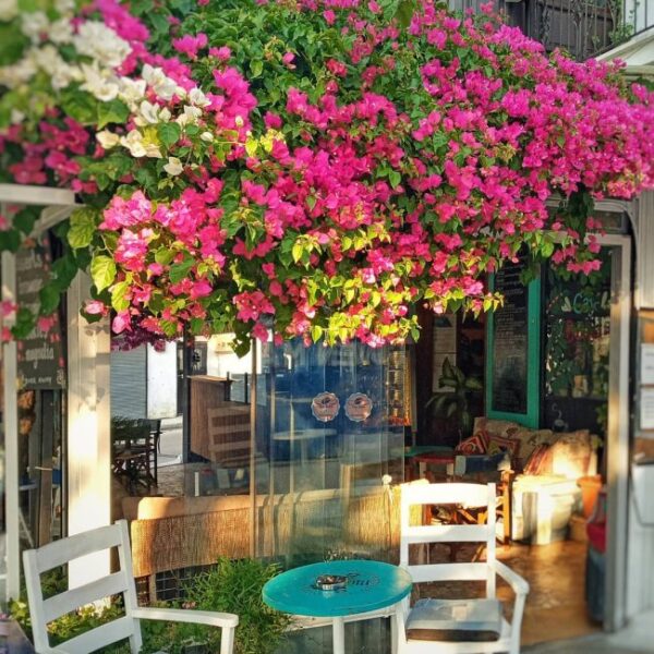 Mavi’nin 50 Tonu: Fethiye Rehberi
