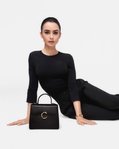 Panter Figürüyle Dikkat Çeken Çanta: Panthère de Cartier