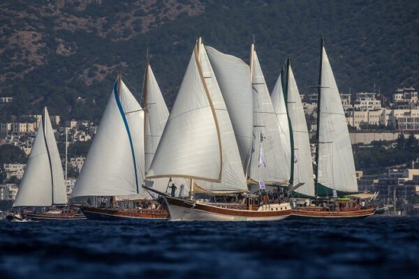 Yelken ve Deniz Festivali The Bodrum Cup'ın Bu Yılki Rotası Yangın Bölgeleri