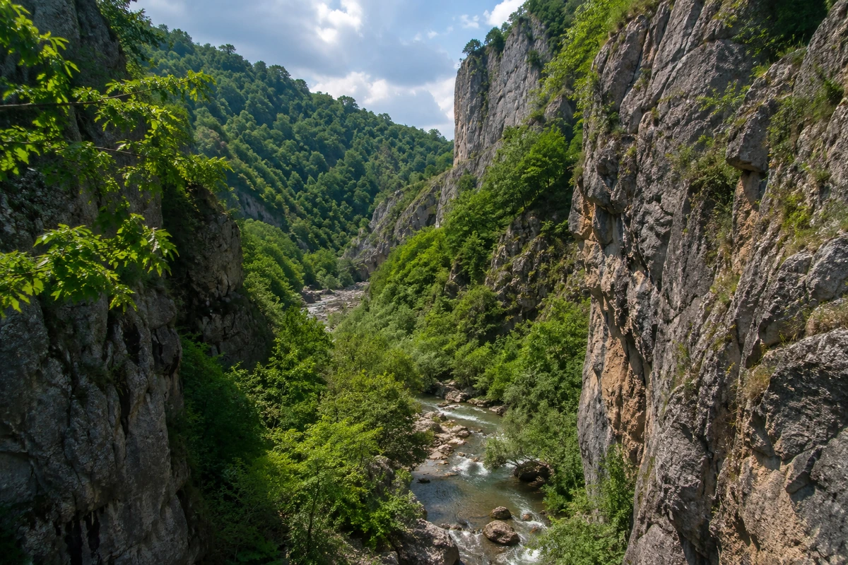 Zonguldak'taki Süzek Kanyonu'nun doğal güzelliğini sergileyen bu görselde, yeşilliklerle kaplı sarp kayalık yamaçlar arasında akan berrak bir nehir ve ekoturizm potansiyeli yüksek, etkileyici bir manzara görülüyor.