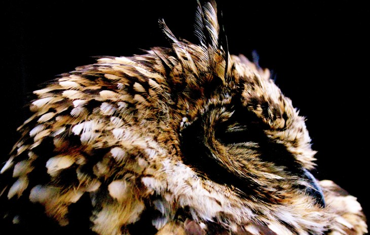 Eco-Awakening: Çevreye Duyarlı Tüketicinin Yükselişi