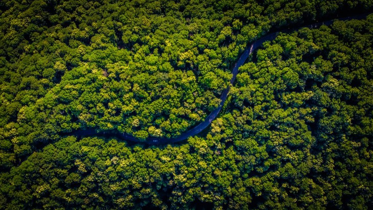 Eco-Awakening: Çevreye Duyarlı Tüketicinin Yükselişi