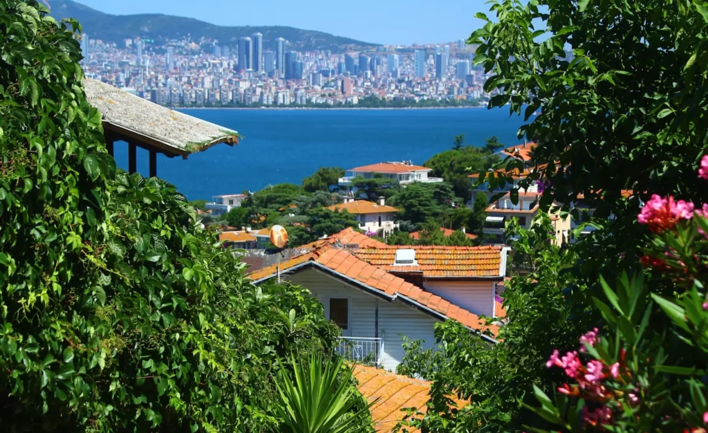Gamze Cizreli OGGUSTO'da Neler Okuyor?