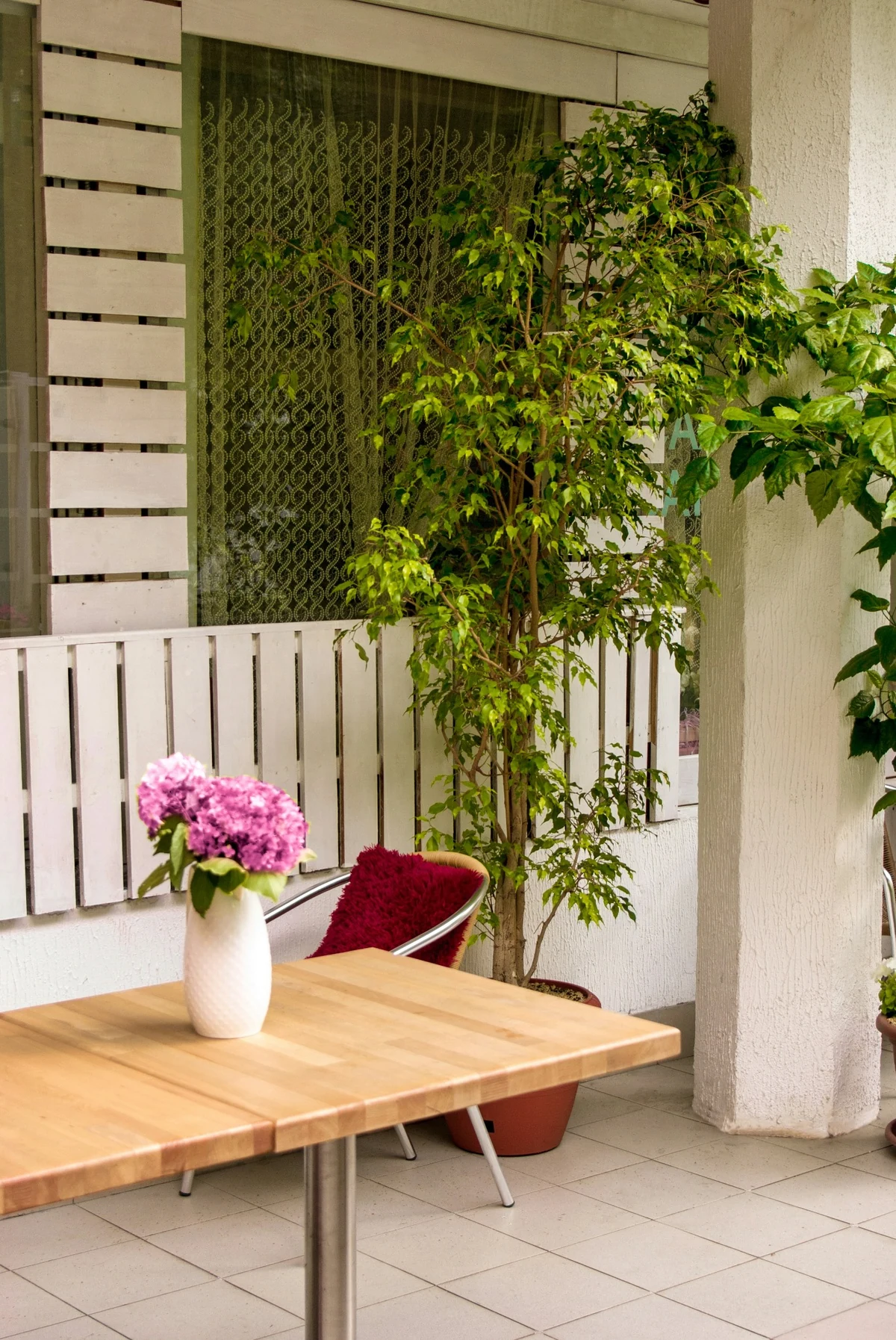 Bir balkon ortamında, açık renk ahşap bir masa üzerinde pembe ortancalı şık bir beyaz vazo, yanında kırmızı tüylü minderli modern bir sandalye ve arka planda saksıda duran yemyeşil bir bitki, huzurlu bir dış mekan masa ve bitki dekorasyonu oluşturuyor.