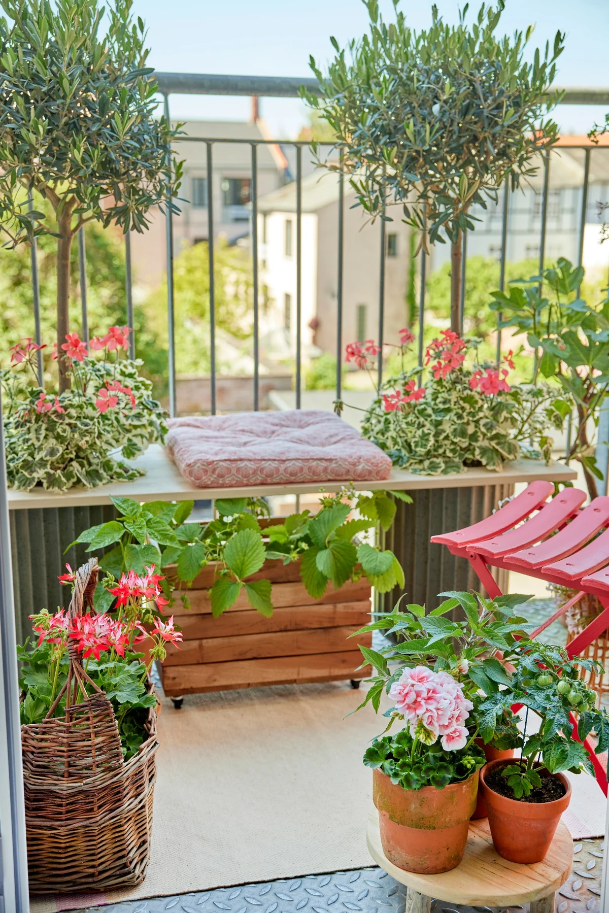 Küçük balkon bitki düzenlemesi örneği olarak, demir korkulukların ardında yükselen iki küçük zeytin ağacı, raf üzerinde canlı kırmızı sardunyalar ve pembe bir minder, ahşap saksıda yetişen çilek fideleri ile hasır sepetlerde ve saksılarda pembe sardunya ve yeşil domates bitkilerinin yer aldığı, şehir manzaralı, yemyeşil ve keyifli bir alan.