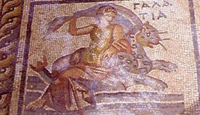 Zeugma Mozaik Müzesi koleksiyonundan dikkat çekici bir eser olan Galateia mozaiğinde, açık renkli arka plan üzerinde, kanatlı ve balık kuyruklu bir deniz canavarının sırtında akıcı bir örtüyle oturarak ilerleyen zarif tanrıça Galateia'nın büyüleyici tasviri yer alıyor.