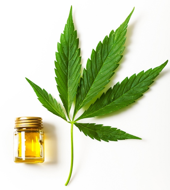 Wellness Dünyasının Yeni Gözdesi: CBD Yağı
