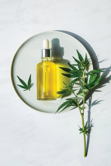 Wellness Dünyasının Yeni Gözdesi: CBD Yağı