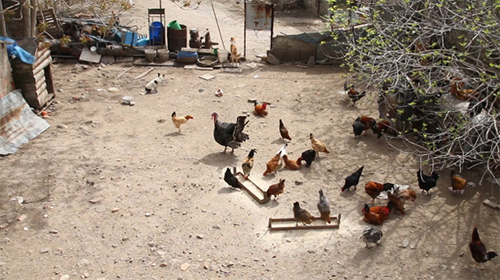 Koleksiyoner ve Sanatçı Sohbetleri: “7 Koleksiyoner 7 Sanatçı”