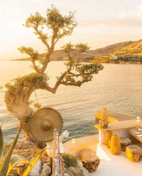 Bodrum Restoran Önerileri: Fulden Yakut