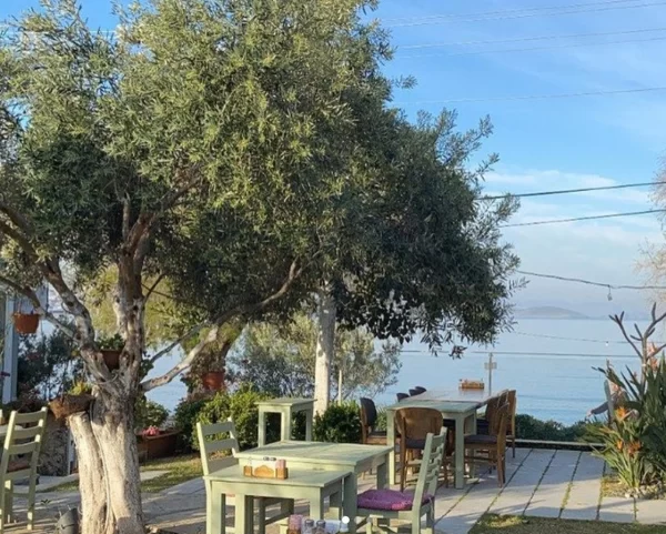 Bodrum Restoran Önerileri: Fulden Yakut