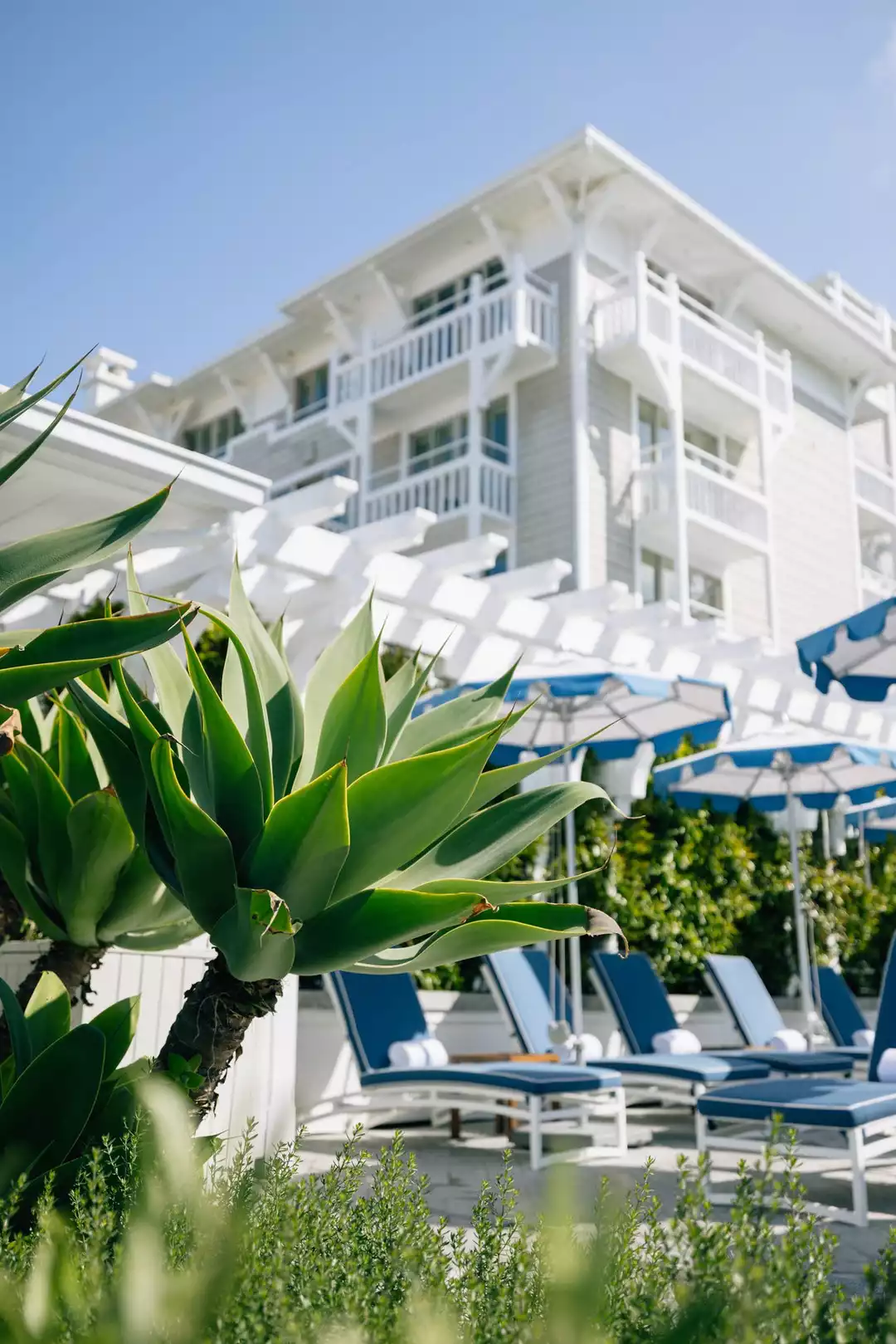 Shutters on the Beach