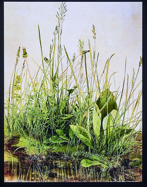 Doğanın Dijital Sanat ile Birlikteliği: Flora Sergisi