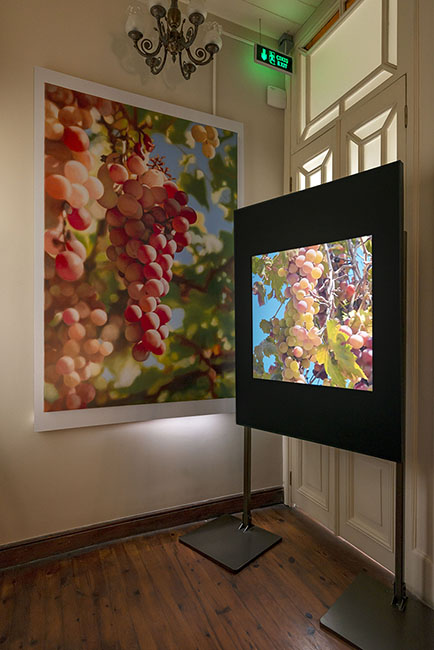 Doğanın Dijital Sanat ile Birlikteliği: Flora Sergisi
