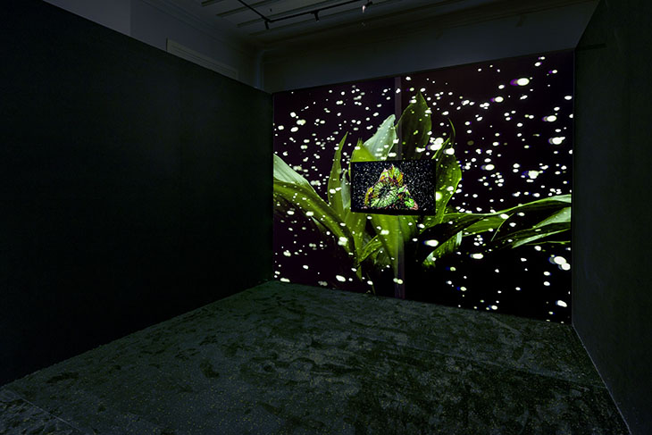 Doğanın Dijital Sanat ile Birlikteliği: Flora Sergisi