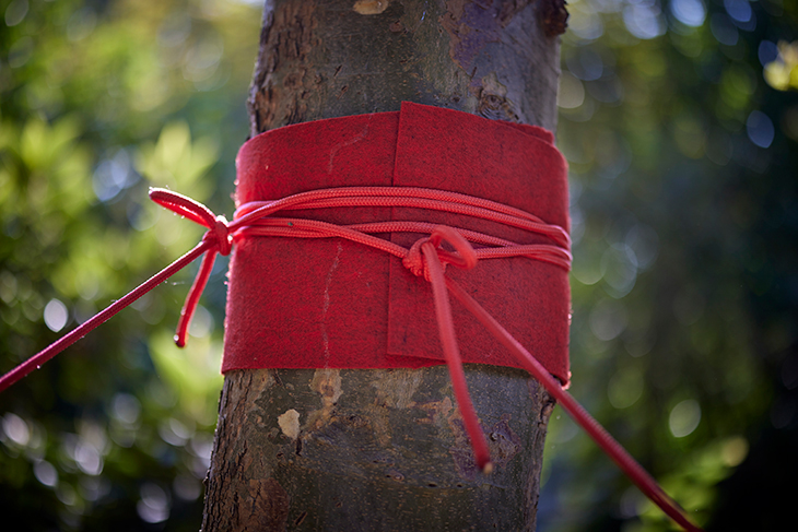 17. İstanbul Bienali: Sanatla Değiş, Dünyayı Dönüştür