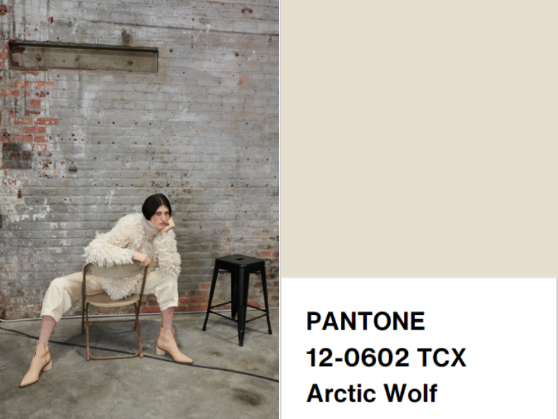 Pantone 2022 Sonbahar/Kış Renk Trendleri