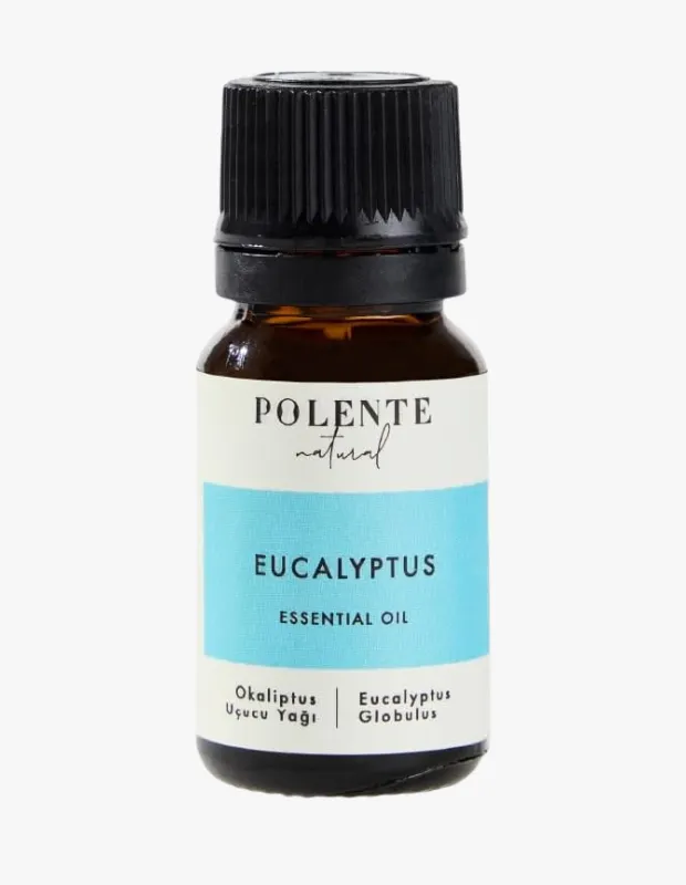 Polente Natural okaliptus uçucu yağı Eucalyptus globulus aromaterapi için cam şişe essential oil