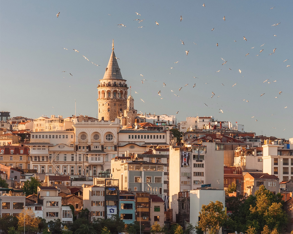 Şehrin En Yenileri