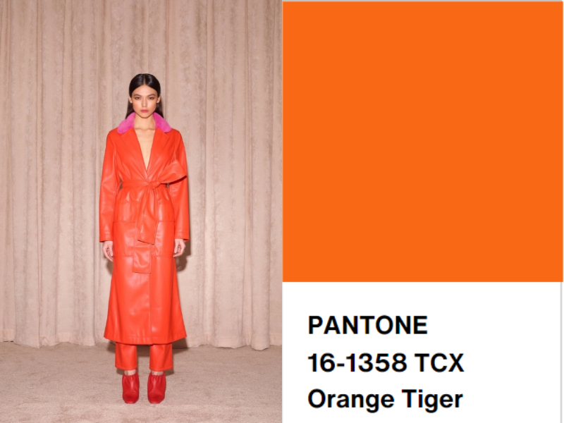 Pantone 2022 Sonbahar/Kış Renk Trendleri