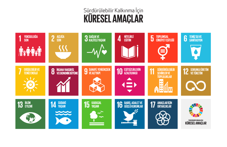 17 Logo, Tek Dünya: Sürdürülebilir Kalkınma Amaçları