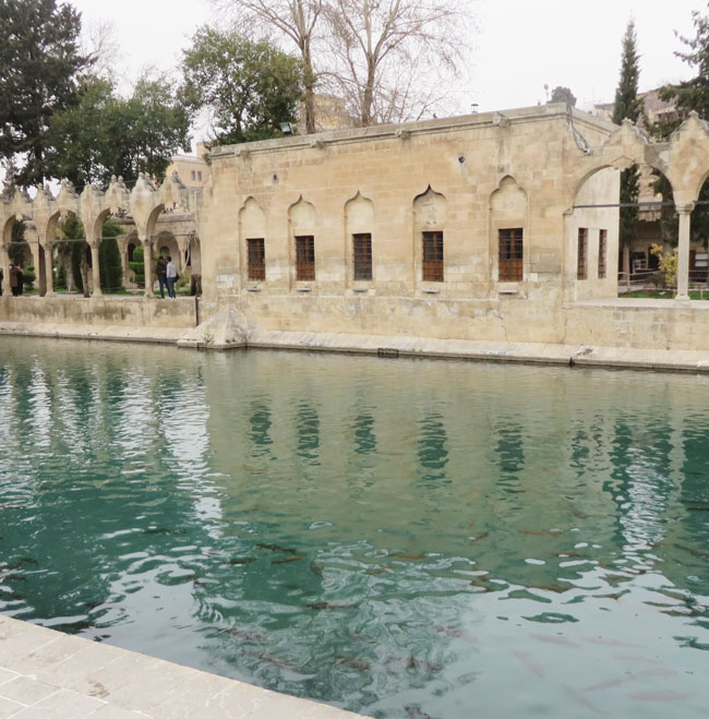 Ateşin Suya Döndüğü Yer: Balıklıgöl’ün Hikâyesi